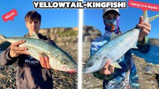 Rockfishing NSW - Kingfish (Part 1)