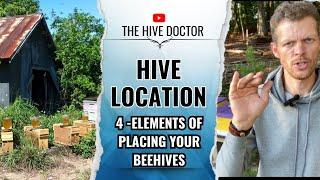 Where to put your Beehives//The 4 Elements of Locating your Apiary//Establish the Best Spot for bees