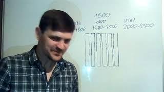 Шесть рамок достаточно для полноценной работы матки!√1 2020