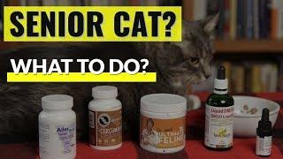 Old Cat In Pain? 5 Natural Options