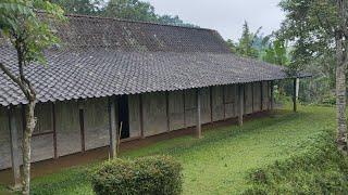 Suasana Sore Kampung Alami Bernuansa Jaman Dulu ,Damainya Desa Terpencil di Jawa Tengah