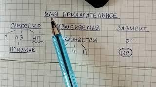 Имя прилагательное – объясняю простыми словами, что это за часть речи и как она изменяется