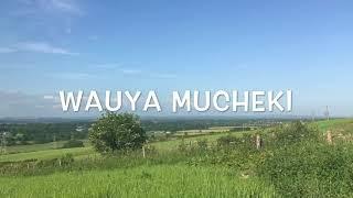 Wauya mucheki