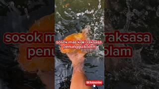 Tips menangkap ikan mas koki raksasa yang aman  #shorts #shortvideo #shortsvideo #short