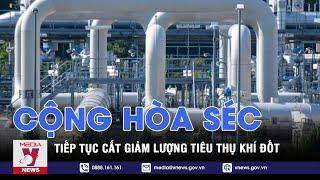 Cộng hòa Séc tiếp tục cắt giảm lượng tiêu thụ khí đốt - Tin thế giới - VNEWS