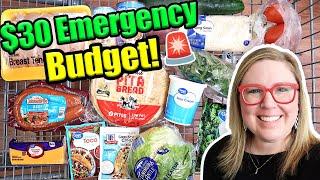 $30 Emergency Budget Walmart Meal Plan! Gyros, Burrito Bowls, Smoked Sausage