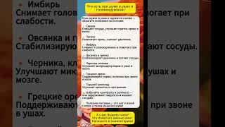 Шум в ушах и головокружение — что есть, чтобы стало легче