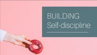 How To Build Self-Discipline And Strengthen Your Willpower | The Marshmallow Test