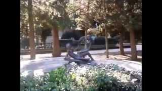 В Гурзуфе самый лучший отдых!!!