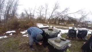 Listening For Honey Bees in Dead Beehives - Beekeeping in Spring, Ontario, Canada