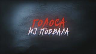 ВОРОН (Руслан Покровский) в подкасте "Голоса из подвала"