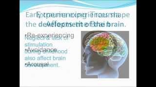 Trauma Module 5:Trauma and the Brain