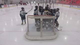 14U - WV Wild vs Carolina Jr Canes - 11/24/24 Game 2