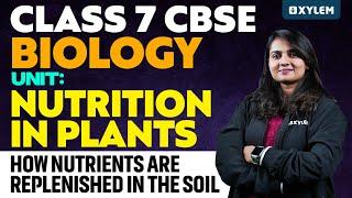 Class 7 CBSE Biology | Unit : Nutrition in Plants | Xylem Class 7 CBSE