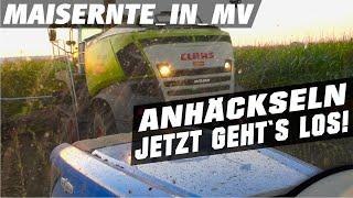 #Maishäckseln im Norden! | #Maisernte | #Vlog Teil2 | Doku