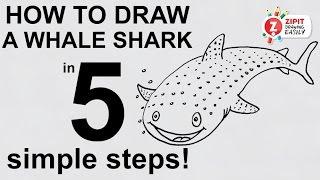 how to draw a whale shark