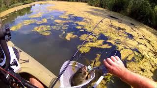 Frog fishing for bass at Summit Lake State Park