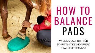 Balance Pads! So kannst du sie mit deinem Pferd trainieren