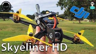 Le Drib Skyeliner HD - Build And Flight