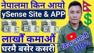 Ysense मा Earning कसरी गर्ने | How To Earn From Ysense In Nepal | Ysense Payment Proof In Nepal