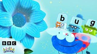 Summer Flowers with Alphablocks | Learn to read | @officialalphablocks