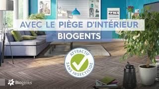 Piège à moustiques d'intérieur BG-Home contre les moustiques et autres nuisibles volants