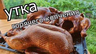 САМАЯ ВКУСНАЯ УТКА ГОРЯЧЕГО КОПЧЕНИЯ! Как научиться коптить Горячим способом Правильно и Вкусно.