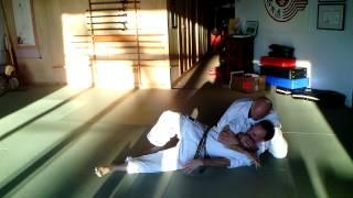 chito ryu chinto kata bunkai