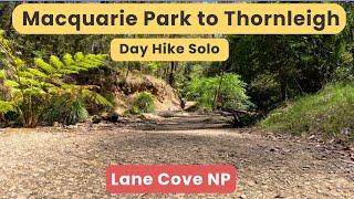 The Great North Walk (12k Hike), Macquarie Park to Thornleigh (Solo), Lane Cove NP