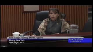 Missy Miller Speaking at Mental Hygiene Budget Hearing 2-6-17