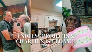 Charlie's 1st Birthday & Endless Home Projects | VLOG