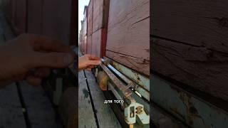Взвешиваем улей, хотели бы попробовать наш мед? Пишите 89954146475 #мёд #пасека #пчеловодство