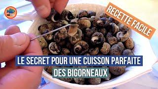 Cuisson des bigorneaux (recette facile)