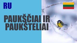 ЛИТОВСКИЙ ЯЗЫК - 93 - PAUKŠČIAI IR PAUKŠTELIAI