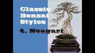 Neagari II Classic Bonsai  Styles