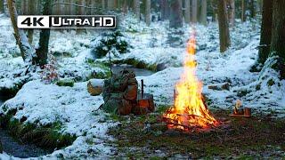 4K  Winter Campfire in a Snowy Forest ️ 100% Authentic Sounds