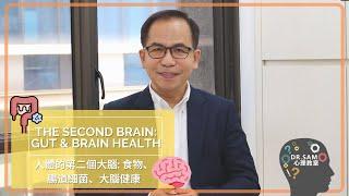 【腸道與大腦健康】發現人體的第二個大腦！！？ ️ | 實用心理學 | Dr. SAM 心理教室 |