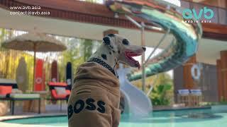 Hugo Boss House Bali | Promotional Video | AVB Media Asia