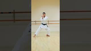 SHOTOKAN KARATE BLACK BELT (LEVEL 100) 