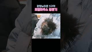  임장영상 보러가기 #광명자이힐스테이트SKVIEW #모델하우스 #shorts