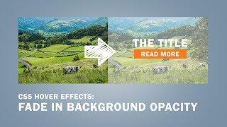 CSS Hover Effects | Fade In Background Opacity(transparent)