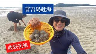 普吉岛赶海根本停不下来  蟹招潮蟹密密麻麻一大群     花蛤挖个够（a funny beach comb in Phuket）EP.15