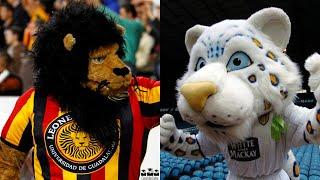 ONLY BEASTS! 50 FOOTBALL CLUBS THAT HAVE FELINES AS MASCOTS