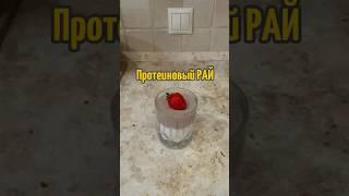 #протеин #рецепты #рецепт #йогурт #вкусняшка #вкусно #полезно #зож