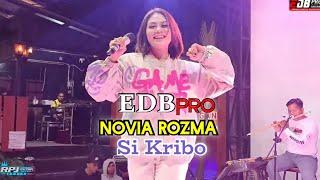 SI KRIBO -  NOVIA ROZMA X EDB PRO CHANNEL - LIVE ANGKRINGAN TEH ITA