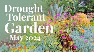 Drought Tolerant Garden Tour | May 2024