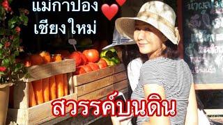 เที่ยวแม่กำปอง เชียงใหม่#EP.#1 สวรรค์บนดิน  MONTHIRA CHANNEL