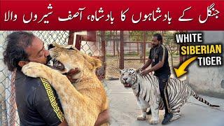 Asif Shero Wala Interview | Top City Zoo Islamabad 2023 @AsifSheroWala