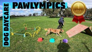 Doggy Daycare PAWLYMPICS Who Will Take the Gold