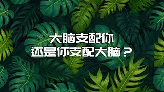 是你支配大脑，还是大脑支配你